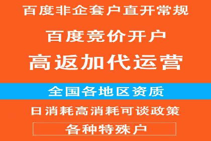 精准营销：百度推广平台的成功案例解析